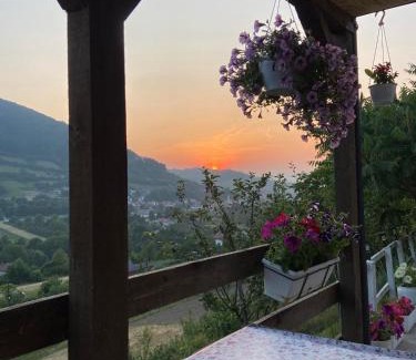 Zenica-Doboj Canton House | Natural House