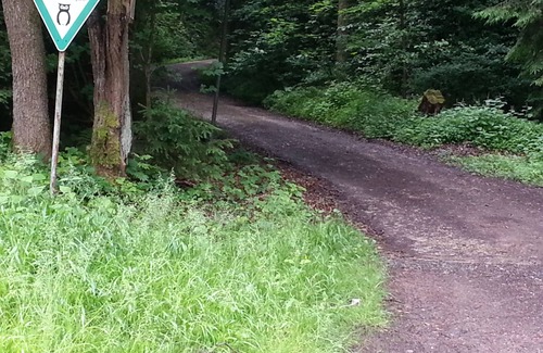 Bad Sachsa House | Natural idyll on the edge of the forest - family-friendly and quiet