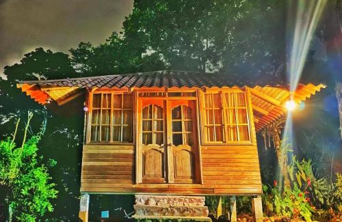 Ramonurcu Other | Natural Lodge