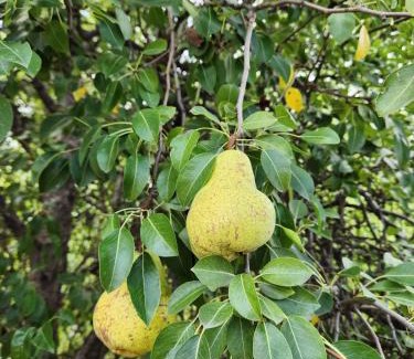 Tunuyan House | Naturaleza & confort en Tunuyan, Mendoza