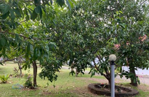 Polonnaruwa Resort | Nature Resort
