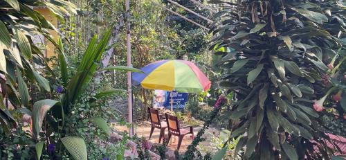 Yercaud Hotel | Nature's cradle resort