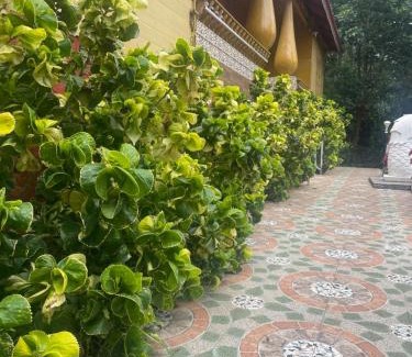 Yercaud Hotel | Nature's cradle resort