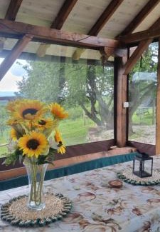 Mladenovac House | NaVisu avlija