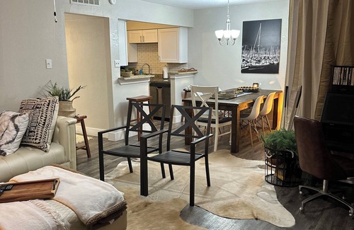 Arlington Apartment | Near Cowboy and Ranger Stadium/Six Flags/Hurricane Harbor/Texas LIVE