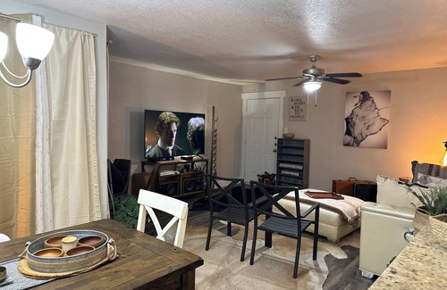 Arlington Apartment | Near Cowboy and Ranger Stadium/Six Flags/Hurricane Harbor/Texas LIVE