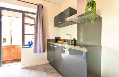 Centrum Apartment | Near Safaripark Beekse Bergen apartment, featuring a private kitchen, bathroom.