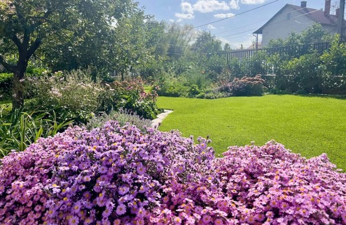 Csopak Apartment | Neon Apartment: Large Garden, Near Lake, Pet&Famil