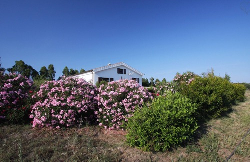 Orosei House | Nerelie House S big garden for playing, wi-fi free!IUN-P2044