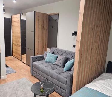 Kopaonik Apartment | Nest 316 Bela Reka Kopaonik