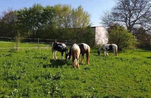 Gau-Weinheim Apartment | NEU! FeWo Tinkerhof nähe Bingen