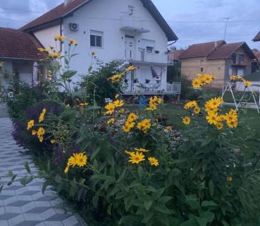 Gornji Milanovac Apartment | Nevade apartman