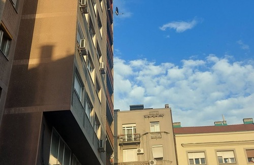 Savamala Apartment | New apartment in central position