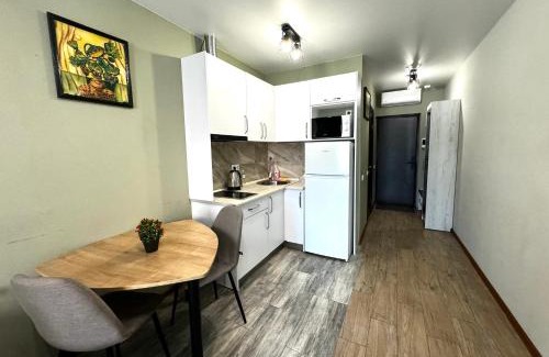 Petrovskoye Apartment | New apartments, center, Smart TV