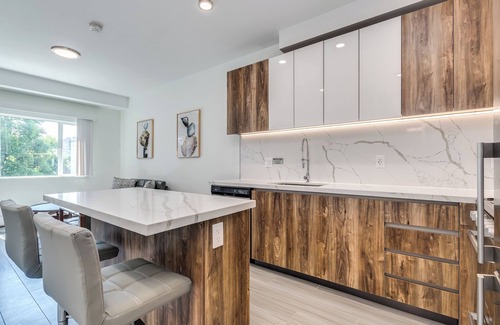 Downtown Vancouver Apartment | NEW BUILDING -Pet Allowed 1 BR@1168 Pendrell
