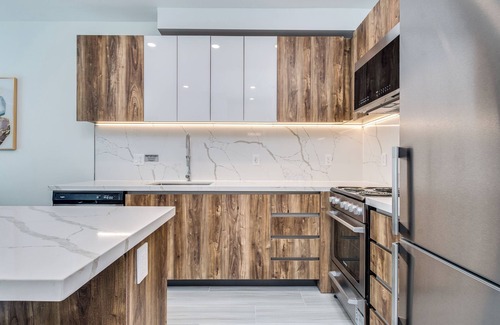 Downtown Vancouver Apartment | NEW BUILDING -Pet Allowed 1 BR@1168 Pendrell