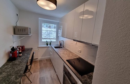 Oberwiesenthal Apartment | NEW FeWo Oberwiesenthal OG