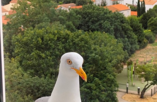 La Rochelle Apartment | New: large, bright apartment with sea view near center and port