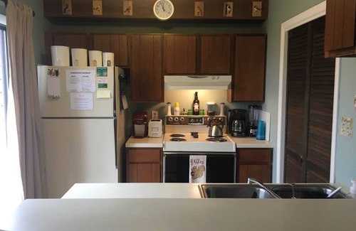 Wintergreen Condo | New listing- Five minute walk to slopes and village!