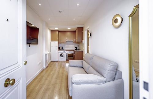 Rejas Apartment | New Luxury Apartment Madrid Feria 110