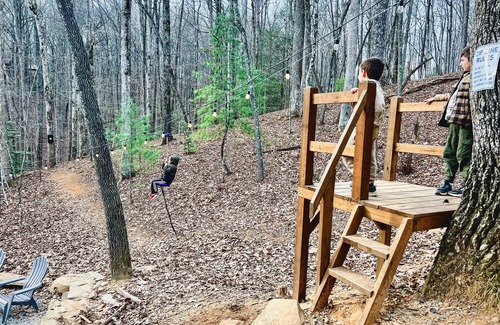 Blue Ridge Cabin | New Modern Cabin w/95FT Zipline & Hot Tub