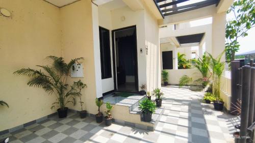 Vadanemelli Hotel | New Moon Resort