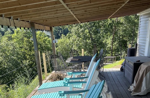 Arley Cabin | New Rental on Beautiful Lewis Smith Lake, AL! Enjoy the beautiful views all day