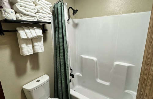 Indian Point Condo | New Room by Silver Dollar City + Shuttle + Pool