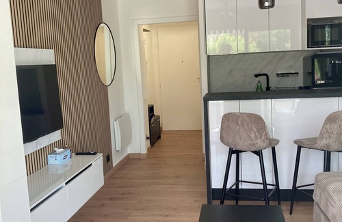 Riou - Petit Juas - Av de Grasse Apartment | New studio with pool parking in Cannes