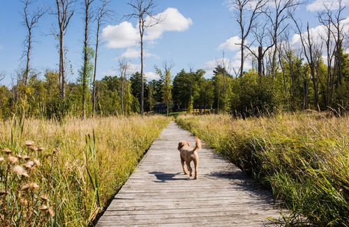 Brainerd Cabin | NEW - The Boardwalk on North Long Lake Brainerd with Hot Tub, Pet-Friendly