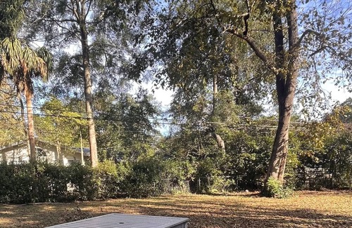 Gainesville Cottage | Newly remodeled close to UF And Midtown