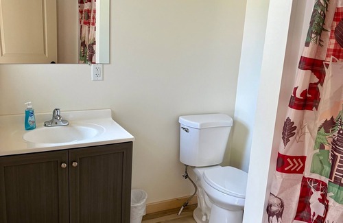 Oscoda Cabin | NEWLY RENOVATED! Cozy cabin with WiFi and AC in charming Oscoda