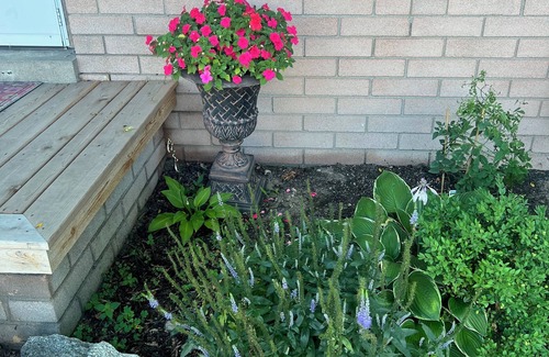 Midland House | Newly renovated Quiet neighborhood 4 bedroom 2 bath house in delightful Midland
