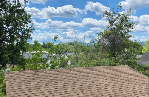 Charlottesville House | Newly Renovated Downtown Bungalow! Walk to bodos, Dairy Market, Marie Bette!