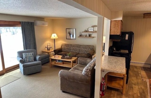 Eagle River Condo | Newly Updated! 2 BD 2BA Voyageur Lake Condo w/Private Pier. End Unit. ER Chain