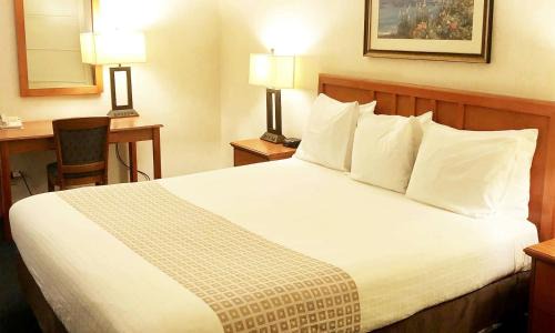 Newport Shores Hotel | Newport Channel Inn