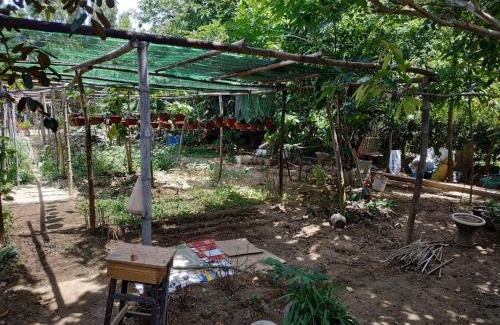 Cam Kim House | Nguyen Duy homestay