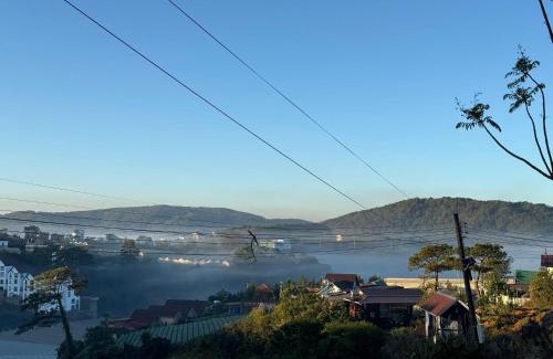 Da Lat Hotel | Nhà Dưới Đồi Homestay