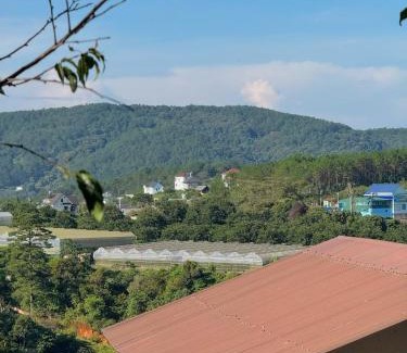 Da Lat Apartment | Nhà Dưới Đồi Homestay