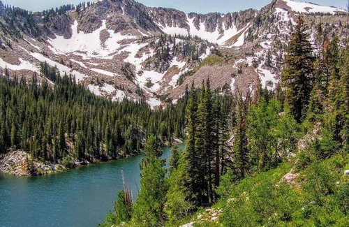 South Salt Lake House | Nibley Park Retreat in SLC (Sleeps 6)