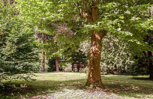 Trarbach Apartment | Nice apartment for 6 people with WIFI, hot tub, TV, patio, pets allowed and parking