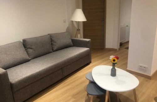 Illkirch-Graffenstaden Apartment | Nice new studio fully equipped with parking space