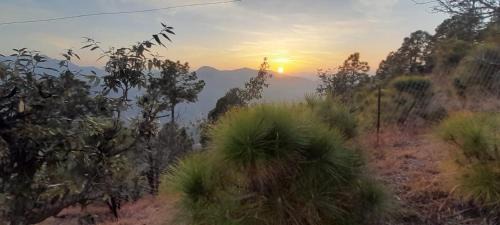 Kaul House | Nice view Homestay
