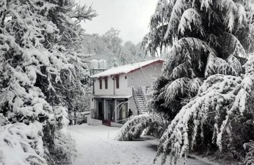 Kaul House | Nice view Homestay