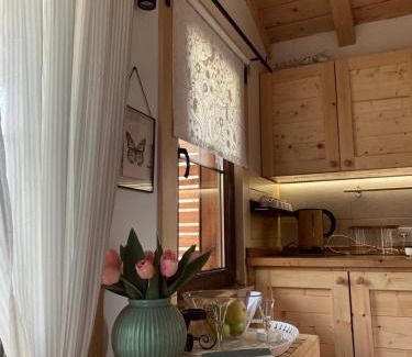 Bajina Basta Apartment | NIKOLIJA 3