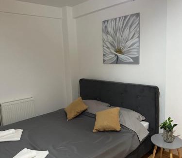 City Center Apartment | Nis Apartment