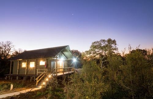 Kruger National Park Other | Nkuhlu Tented Camp