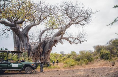 Kruger National Park Other | Nkula Camp - Pafuri Walking Safari's