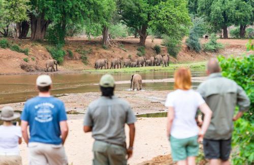 Kruger National Park Other | Nkula Camp - Pafuri Walking Safari's