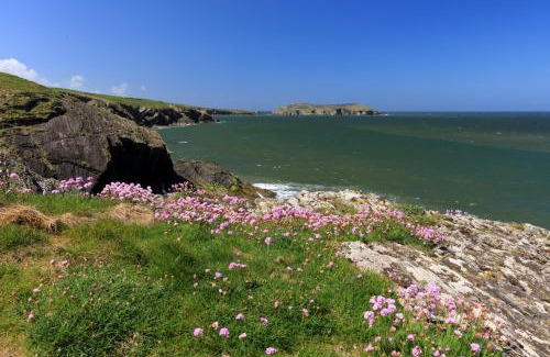 New Quay Apartment | No. 1 Cliffside New Quay